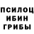 Псилоцибиновые грибы ЛСД Rodrigo Sebastiao