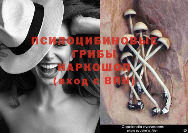 бошки Надым
