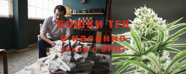 бошки Надым