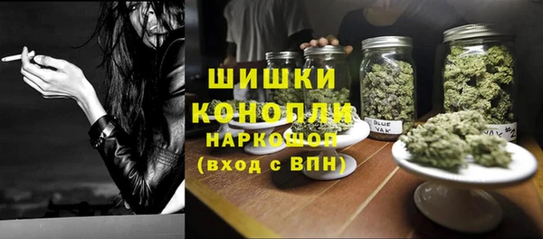 бошки Надым
