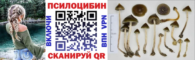 Псилоцибиновые грибы MAGIC MUSHROOMS  Тимашёвск 